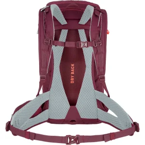 vente chaude SALEWA ALP TRAINER 20 WS TAWNY PORT 23 6